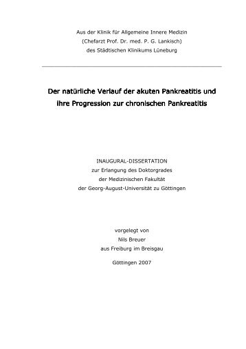 Dissertation Nils Breuer