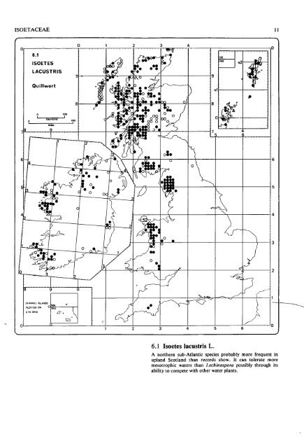 Atlas Of Ferns Of The British Isles