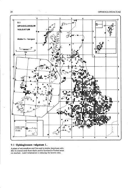 Atlas Of Ferns Of The British Isles