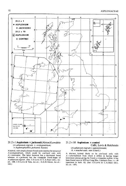 Atlas Of Ferns Of The British Isles