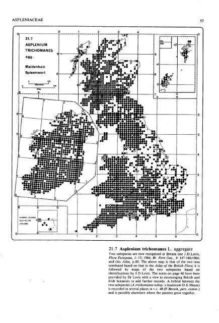 Atlas Of Ferns Of The British Isles