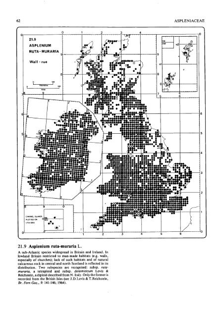 Atlas Of Ferns Of The British Isles