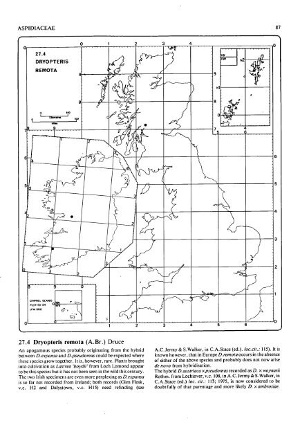 Atlas Of Ferns Of The British Isles