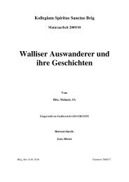 Walliser Auswanderungen nach Südamerika