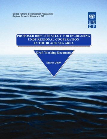 Proposed RBEC Strategy - UNDP Black Sea Trade and Investment ...