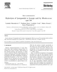 Hydrolysis of lysergamide to lysergic acid by Rhodococcus equi A4