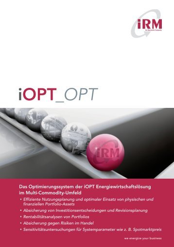 iOPT_OPT - IRM Integriertes Ressourcen-Management AG