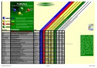 FoMaSys - Michenfelder