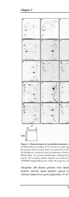 The Staphylococcus aureus secretome - TI Pharma