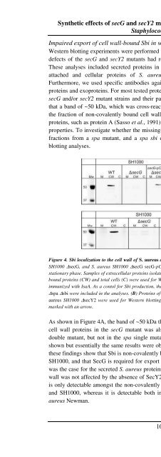 The Staphylococcus aureus secretome - TI Pharma