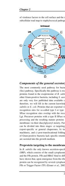 The Staphylococcus aureus secretome - TI Pharma