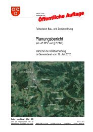 Planungsbericht - Gemeinde Wila