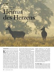 Masuren Heimat des Herzens - Jagdbüro G. Kahle