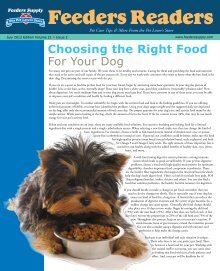 Feeder Magazines