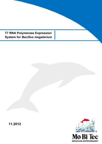 T7 RNA Polymerase Expression System for Bacillus megaterium