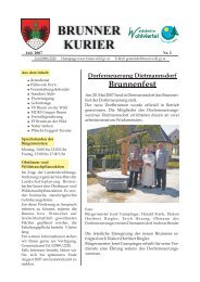 Datei herunterladen - .PDF - Gemeinde Brunn an der Wild