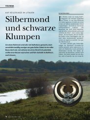 Silbermond und schwarze Klumpen - Jagdbüro G. Kahle