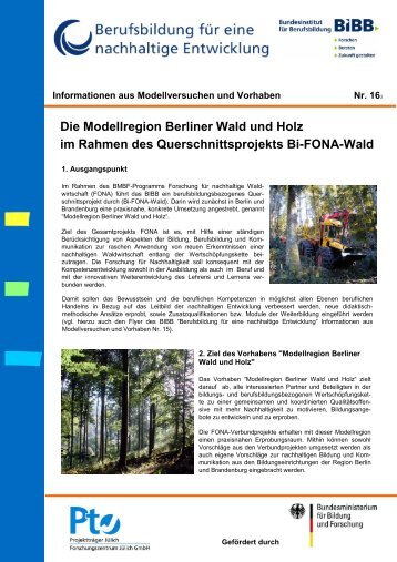 Die Modellregion Berliner Wald und Holz im Rahmen des ... - BiBB