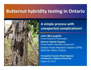 Butternut hybridity testing in Ontario John ... - TIPS Conference