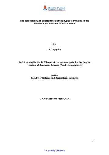 Script Coverpage - UPeTD - University of Pretoria