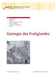 Geologie des Frutiglandes - Projektwochen Berner Oberland