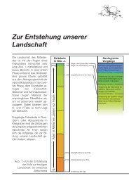 Zur Entstehung unserer Landschaft - Stiftung Landschaft und Kies