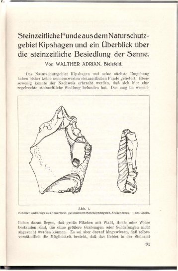 ADRIAN, W. (1933): Steinzeitliche Funde aus dem Naturschutzgebiet