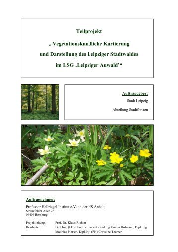 Vegetationskundliche Kartierung und ... - Leipziger Auwald