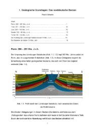 01 Das Norddeutsche Becken - Geologie Lüneburg