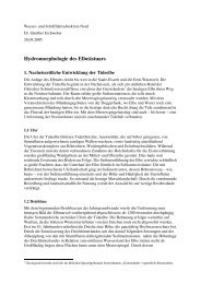 Hydromorphologie des Elbeästuars - Tideelbe