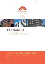 Ladrillos Clinker - Terreal