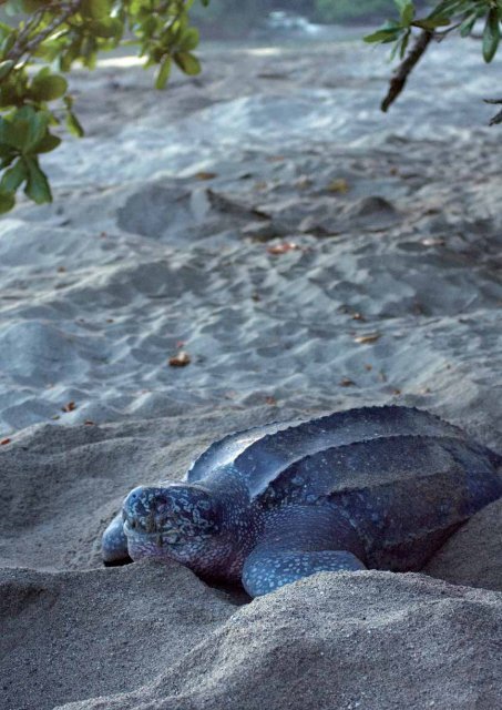 Trinidad & Tobago - Geodyssey