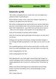 Nyhedsbrev januar 2025