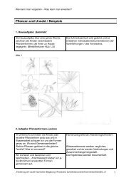 Pflanzen und Urwald / Beispiele - kunstunterricht-projekt