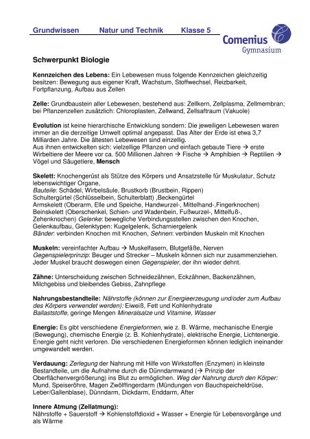 Natur Und Technik Klasse 5 Pdf 043 Kb Comenius Gymnasium