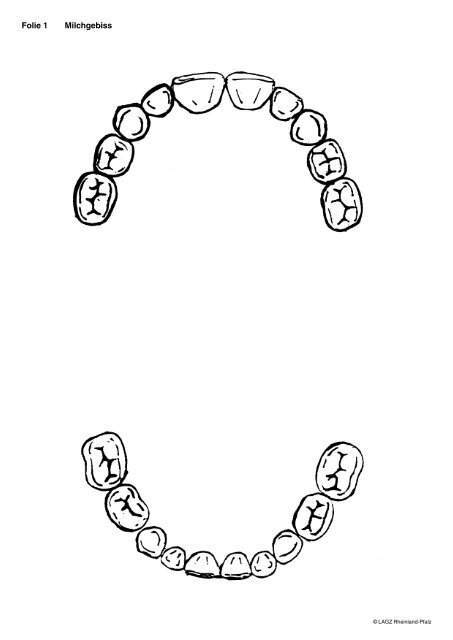 Folie 1 Milchgebiss - (LAGZ) Rheinland-Pfalz