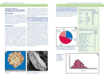 Struvite stones (magnesium ammonium phosphate hexahydrate)