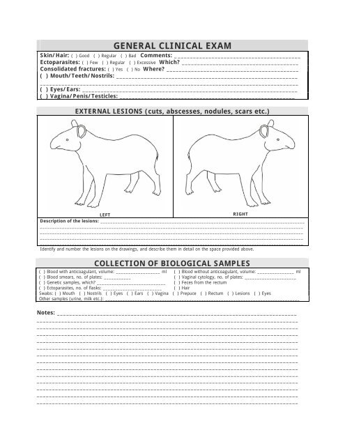 TAPIR FIELD VETERINARY MANUAL - Tapir Specialist Group