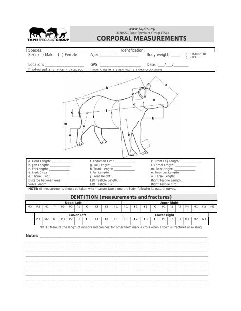 TAPIR FIELD VETERINARY MANUAL - Tapir Specialist Group