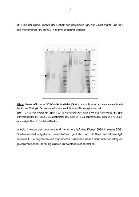 In vitro Analyse der Interaktion von IgA und - Stiftung Tierärztliche ...