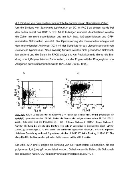 In vitro Analyse der Interaktion von IgA und - Stiftung Tierärztliche ...