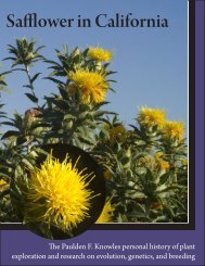 Safflower in California - University of California Cooperative Extension