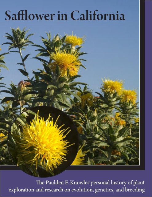 Growing Safflower in Utah