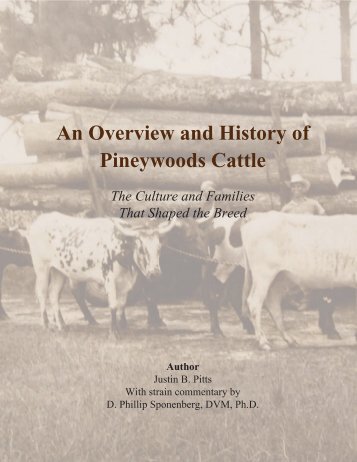 An Overview and History of Pineywoods Cattle - American Livestock ...