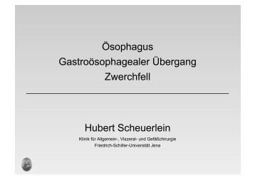 Gastroösophagealer Übergang - und Gefäßchirurgie