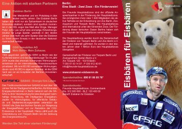 Flyer: Eisbären für Eisbären - GSW