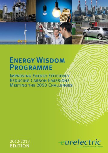 Energy Wisdom Programme Report (Edition 2012-2013) - Eurelectric