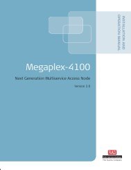 Megaplex-4100