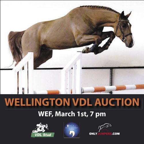 vdl stallions VDL Auction 2012