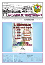 AMTLICHES MITTEILUNGSBLATT - Stadt Schirgiswalde
